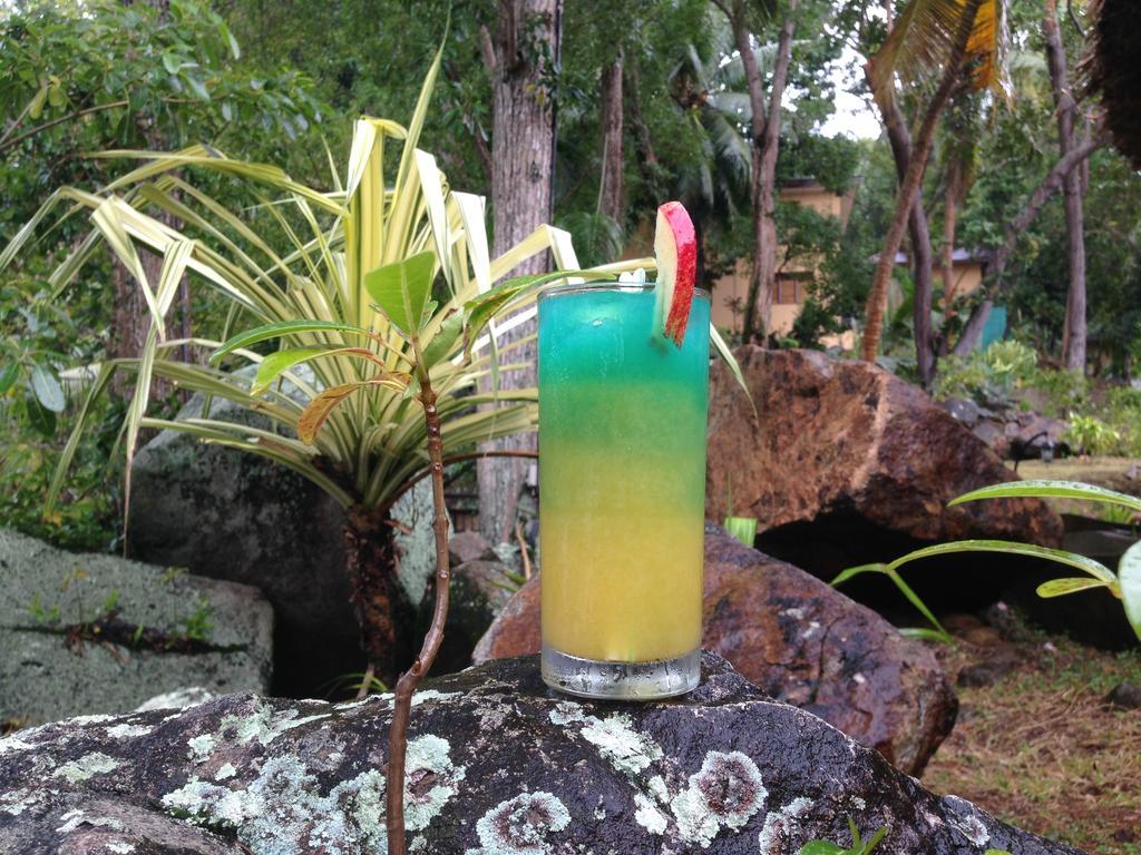 Cerf Island Resort Round Island Esterno foto